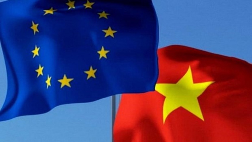 Vietnam – important partner of EU: EP Foreign Affairs Committee